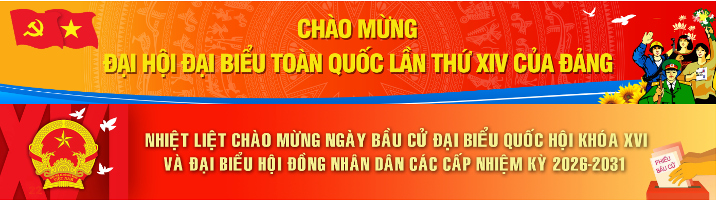 bầu cử
